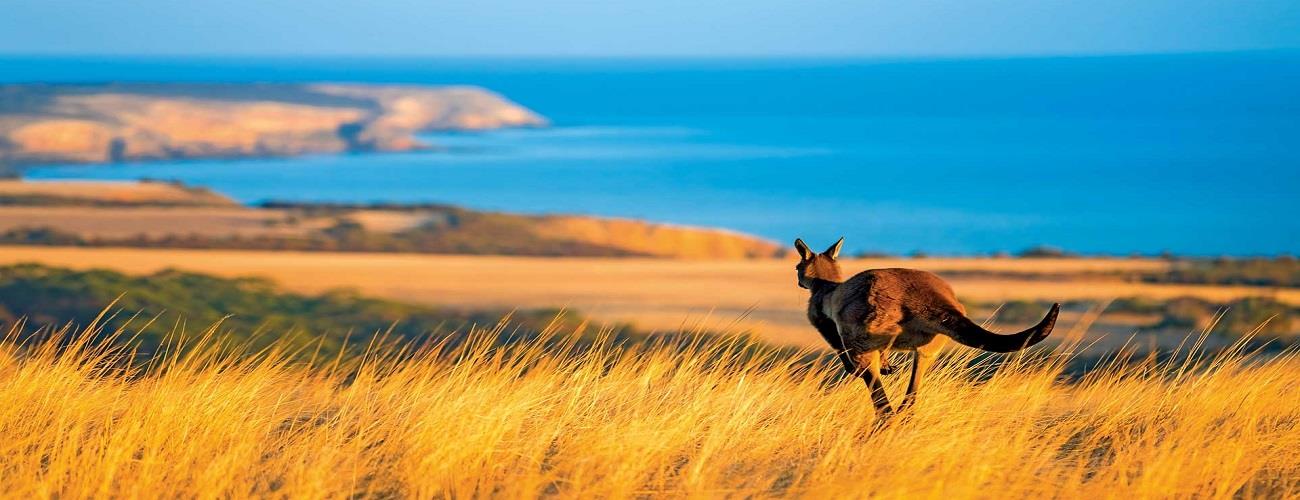 Australia